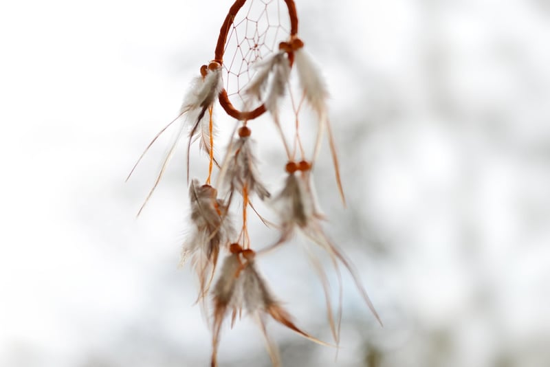 Dreamcatcher Details